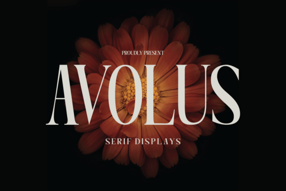 Avolus: A Display Font That Makes Handmade Details Shine