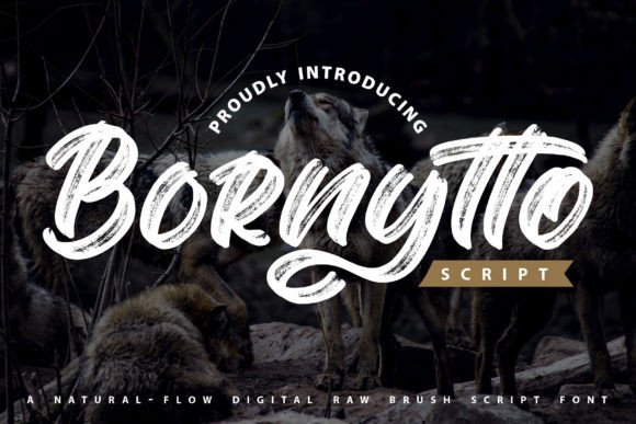 Bornytto: A Textured Handwritten Display Font for Digital Design