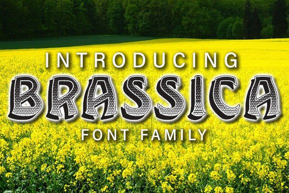 Brassica: A Display Font That Elevates Editorial Design
